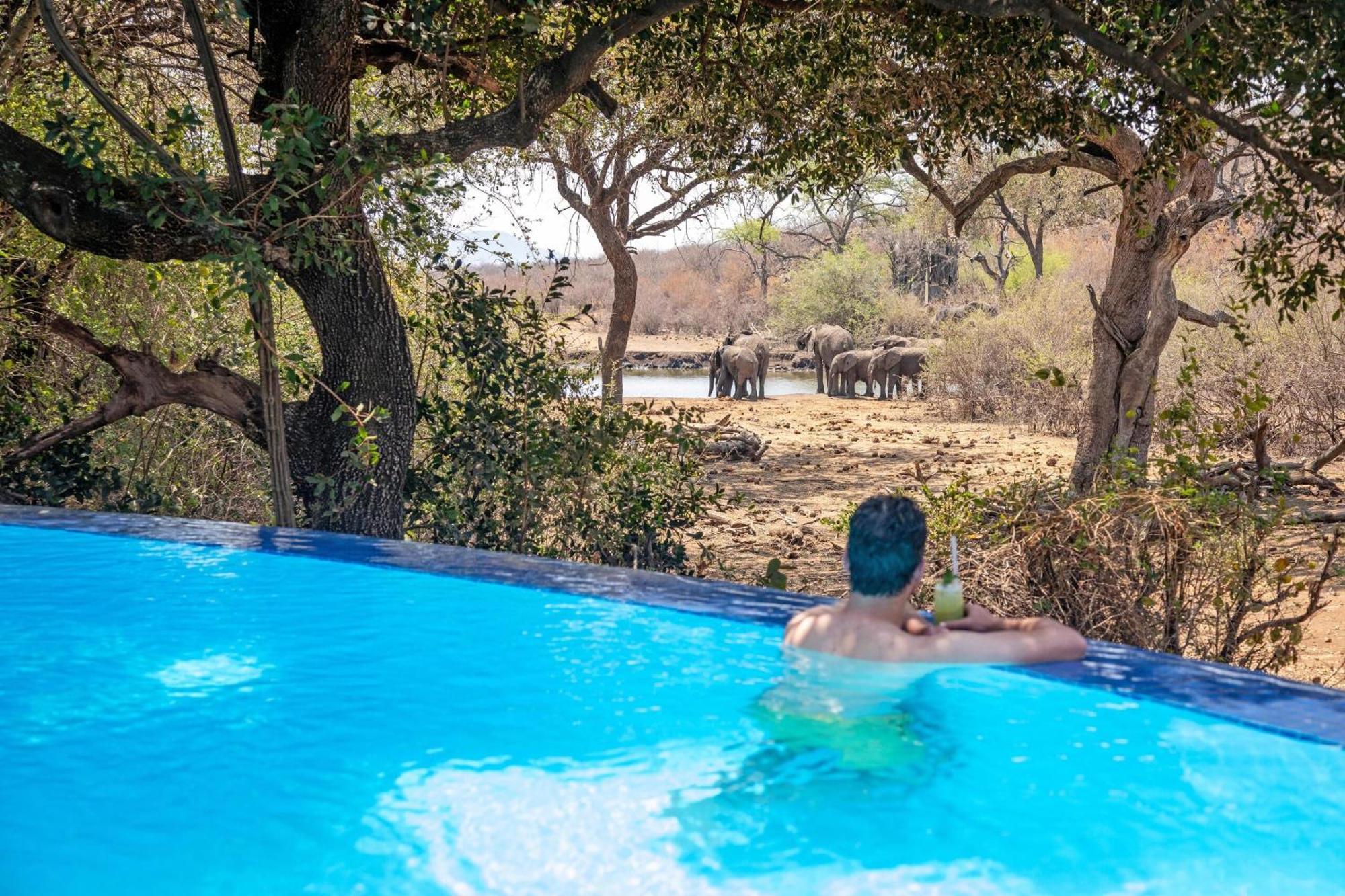 Tuningi Safari Lodge Madikwe Game Reserve Eksteriør bilde