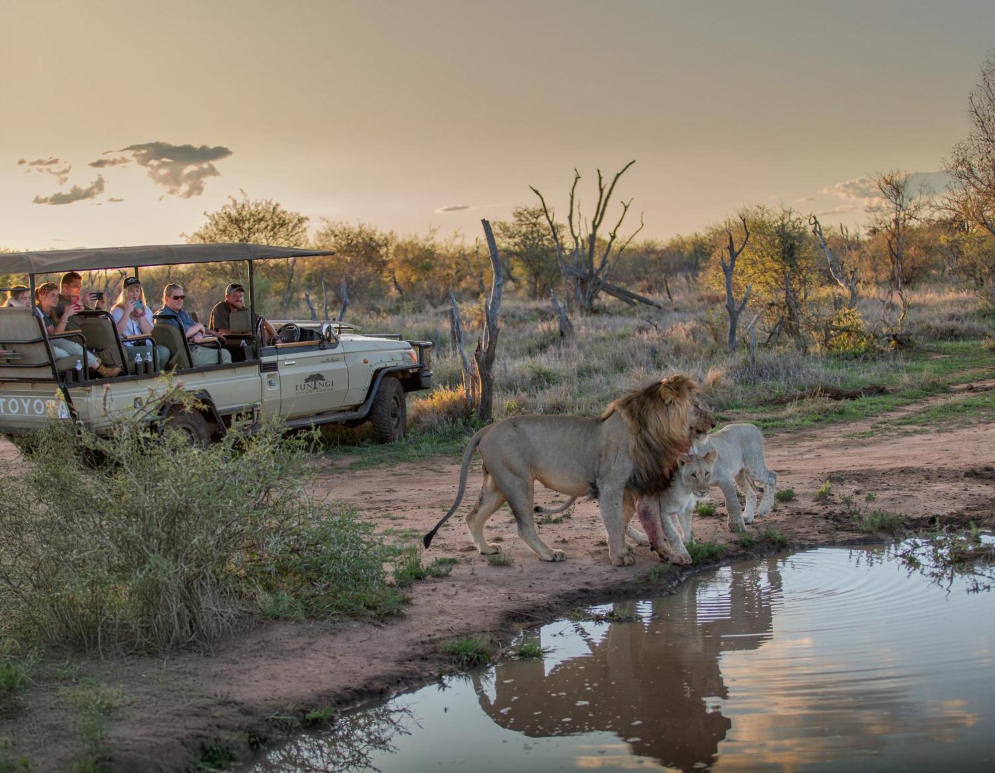 Tuningi Safari Lodge Madikwe Game Reserve Eksteriør bilde