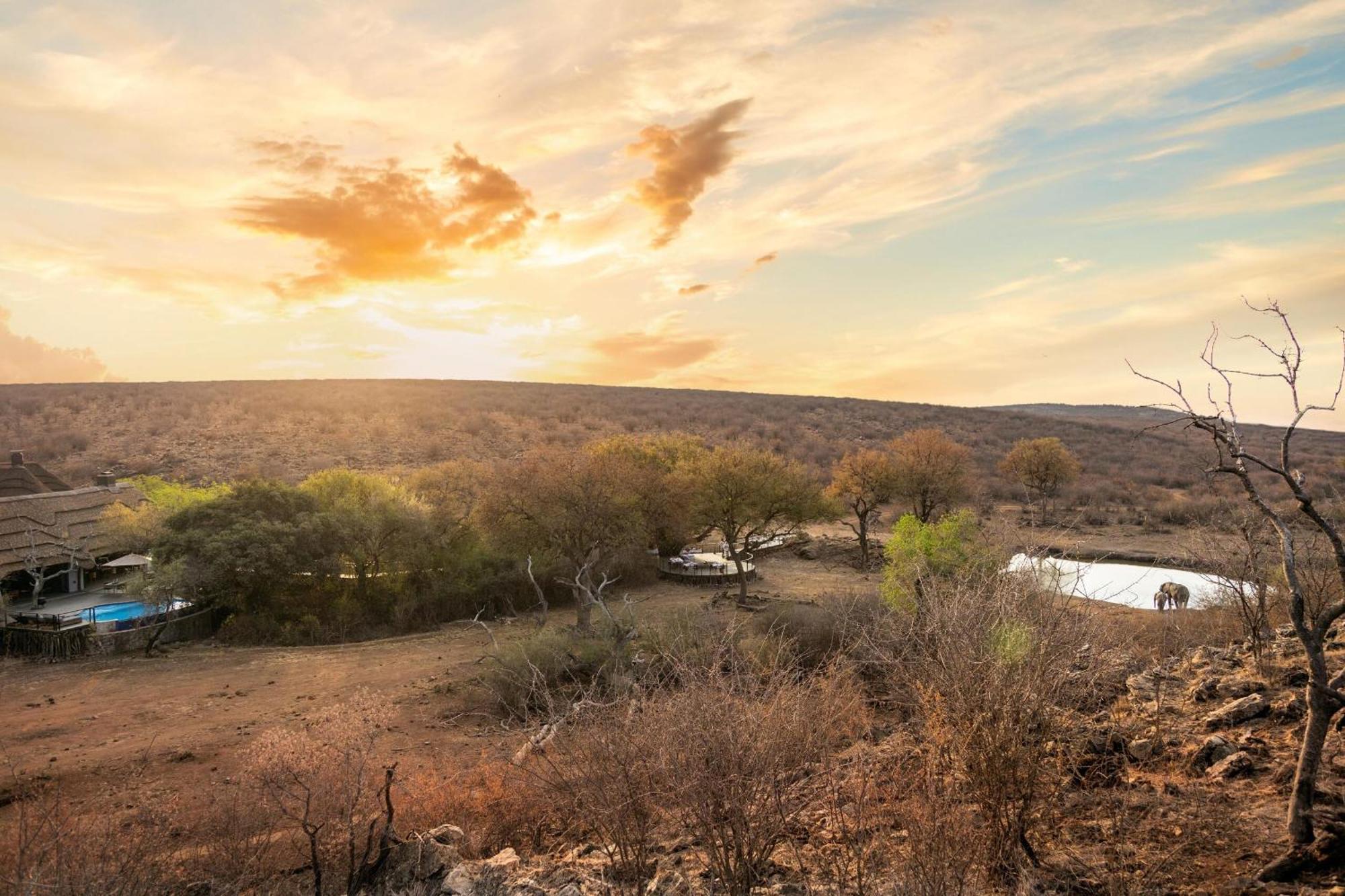 Tuningi Safari Lodge Madikwe Game Reserve Eksteriør bilde