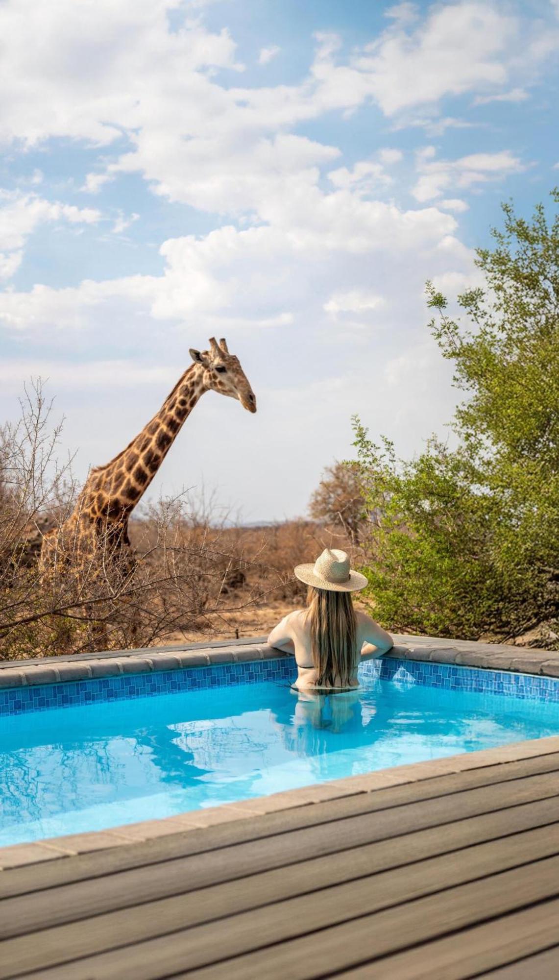 Tuningi Safari Lodge Madikwe Game Reserve Eksteriør bilde